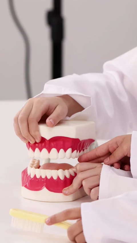 Asian Children in Lab Coats Learning Dentistry with Large Tooth Model Stock Footage 342087079