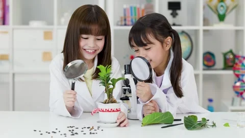 Asian Children in Lab Coats Studying Plants with Magnifying Glasses Stock Footage 340775324