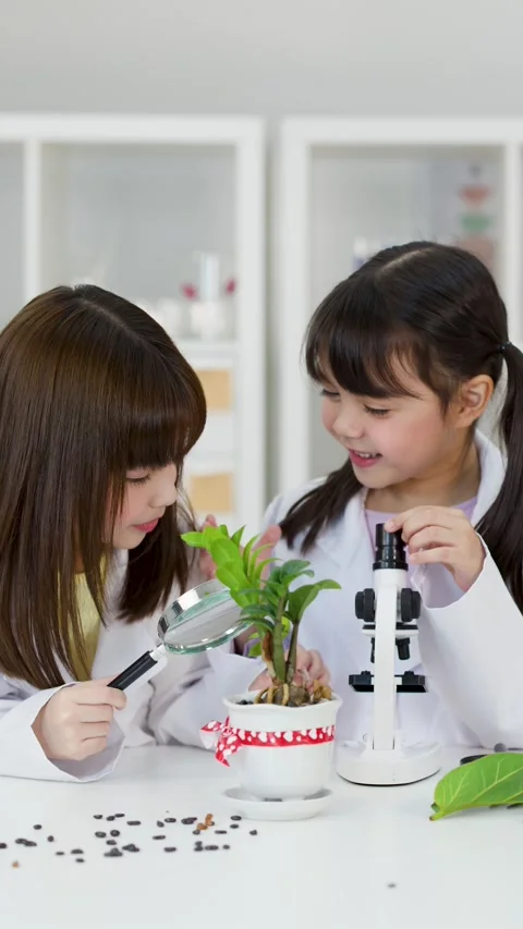 Asian Children in Lab Coats Studying Potted Plant with Microscope Stock Footage 342686396