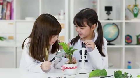 Asian Children in Lab Coats Using Microscope and Magnifying Glass Stock Footage 342087238