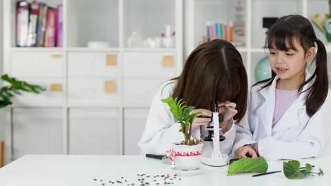 Asian Children in Lab Coats Using Microscope for Biology Experiment Stock Footage 342686492