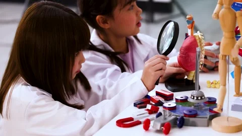 Asian Children in Science Lab Examining Human Anatomy Model Stock Footage 342087385