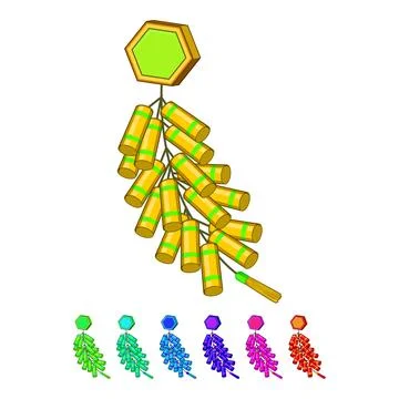 Asian chinese firecracker cartoon vector graphic Stock Illustration