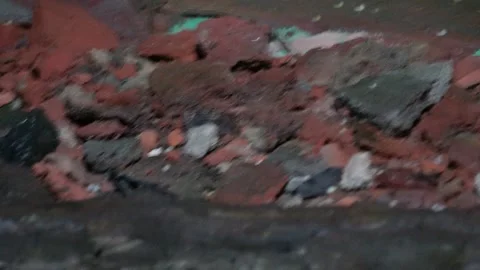 Asian common toad Stock Footage 319996560