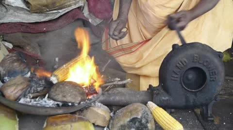 Asian cooks corn Stock Footage 10791994