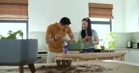 Asian couple spotting empty tray, potting seedlings in green planter at kitchen Stock Footage 337097552