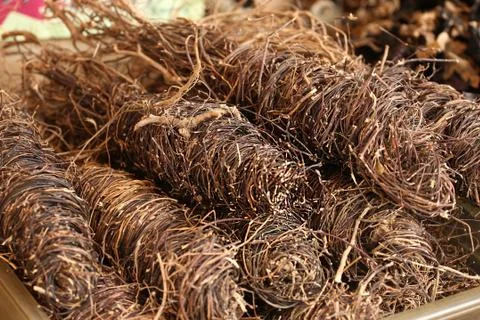 Asian crops Stock Photos