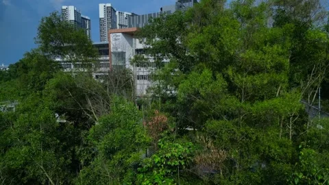 Asian data center building digital infrastructure. Great aerial view drone Stock Footage 344596530