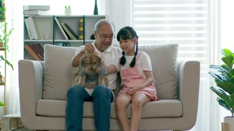 Asian Elderly and children sit on sofa and playing with dog together in livin Video stock 146155065