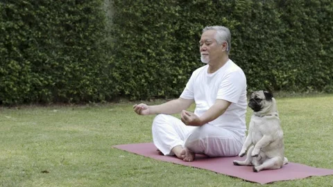 Asian Elderly man doing yoga in the garden. Stock Footage 151803334