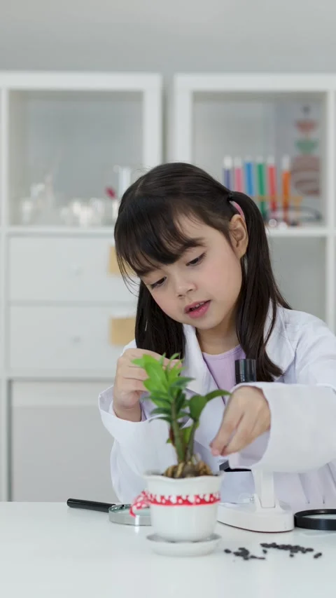 Asian Elementary Student Studying Potted Plant with Microscope in Science Lab Stock Footage 345023108