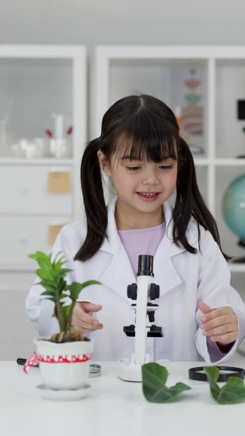 Asian Elementary Student Using Microscope in Science Class Stock Footage 346126074