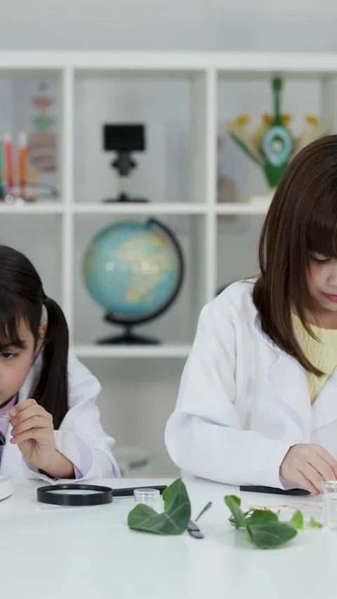 Asian Elementary Students Conducting Science Experiments Stock Footage 344943923