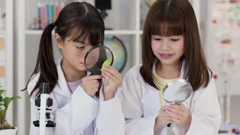 Asian Elementary Students Examining Plant Leaves with Magnifying Glasses Stock Footage 345487445