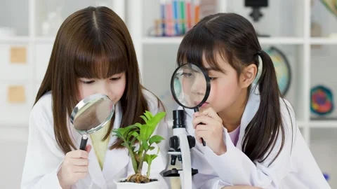 Asian Elementary Students Examining Potted Plant with Magnifying Glasses Stock Footage 341074035