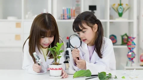 Asian Elementary Students Examining Potted Plant with Magnifying Glasses Stock Footage 341074064