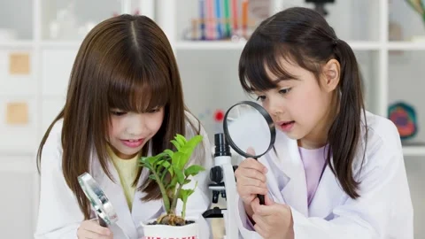 Asian Elementary Students Examining Potted Plant with Magnifying Glasses Stock Footage 341917302