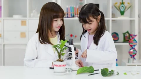 Asian Elementary Students in Lab Coats Studying Plants with Microscope Stock Footage 340775141