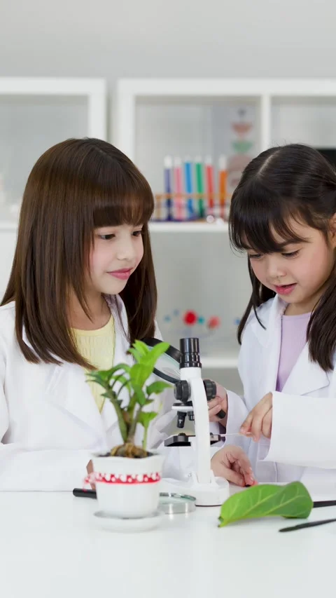 Asian Elementary Students in Lab Coats Studying Biology with Microscope Stock Footage 341319673