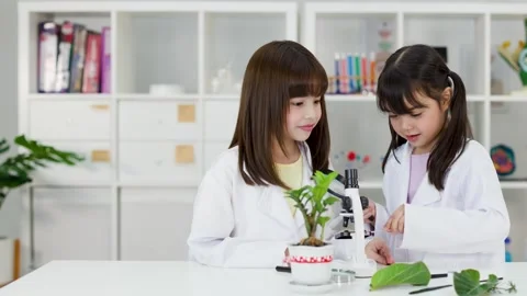 Asian Elementary Students in Lab Coats Studying Biology with Microscope Stock Footage 341667764
