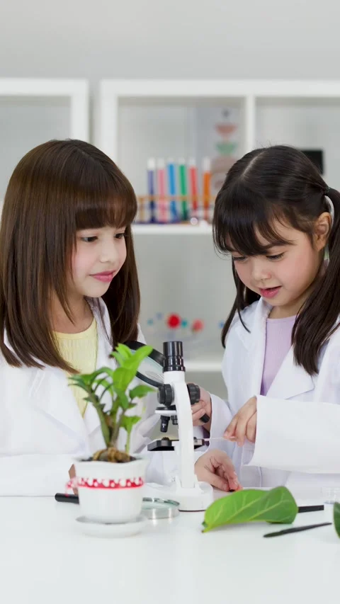Asian Elementary Students in Lab Coats Studying Plants with Microscope Stock Footage 342313085