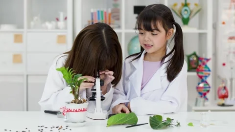 Asian Elementary Students in Lab Coats Using Microscope for Biology Experiment Stock Footage 342313096