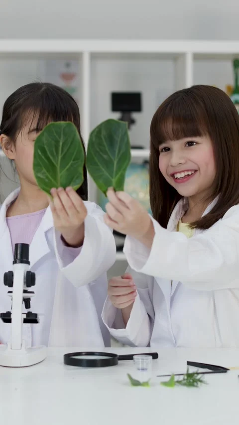 Asian Elementary Students in Lab Coats Examining Green Leaves in Science Class Stock Footage 345113466