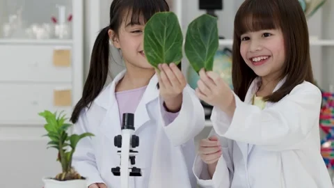 Asian Elementary Students in Lab Coats Examining Green Leaves in Science Class Stock Footage 346017959