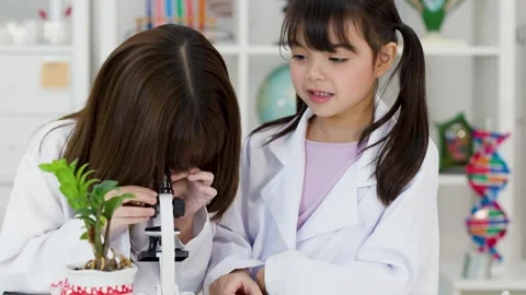 Asian Elementary Students Using Microscope for Biology Science Experiment Stock Footage 340775102