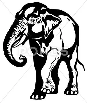 Asian elephant black white Stock Illustration
