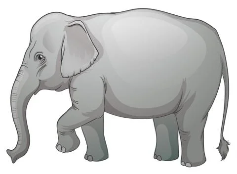 Asian elephant Stock Illustration