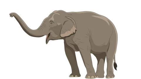 Asian Elephant Vector Illustration with Raised Trunk Isolated on White Back.. Stock Illustration