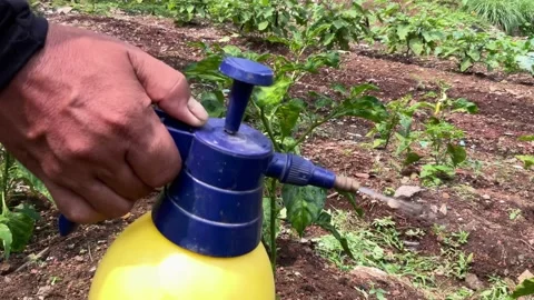 Asian farmer activity Stock Footage 201531505