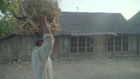 Asian farmer bring a stack of grass Video stock 119564401