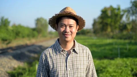 Asian farmer checking kale in his farm. Видео 87722717