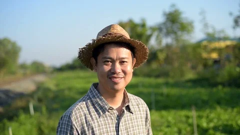 Asian farmer checking kale in his farm. Stockbeeldmateriaal 87722786