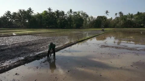 Asian farmer digging the soil with a hoe to prepare for planting. Stock Footage 209170534