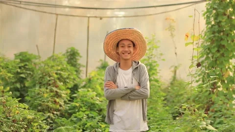 Asian farmer 스톡 동영상 147572737