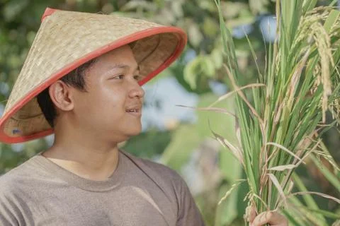 Asian Farmer Stock Photos