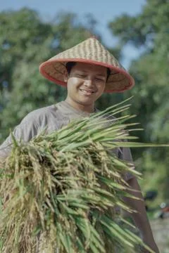 Asian Farmer Stock Photos