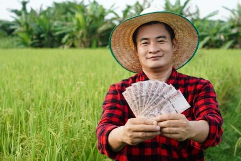 Asian farmer Foto stock