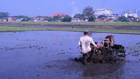 Asian farmer plowing rice fields using tractor with blue sky background Stock-Fotos