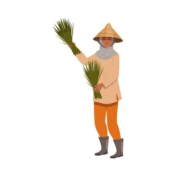 Asian Farmer in Straw Conical Hat Holding Bundle of Rice Grass Vector 스톡 일러스트