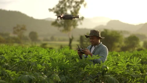 Asian farmer using drone flying navigating above farmland with beautiful sunrise Stock Footage 158911937