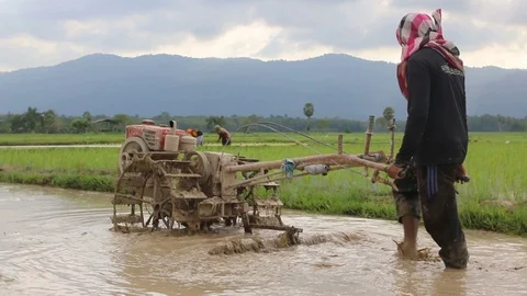 Asian Farmer using the small tractor for plow the rice fields. Stock Footage