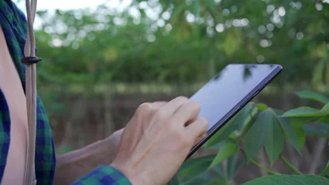 Asian farmer using survey her cassava farm.  Stock Footage 163902027