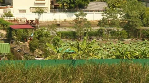 Asian Farming 스톡 동영상 8984137