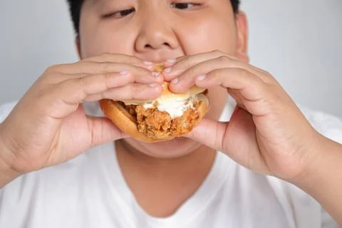 Asian fat boy eats hamburger Wear a white shirt. Stock-Fotos