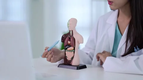 Asian female doctor explaining human anatomy using internal organ model for.. Video stock 336038883