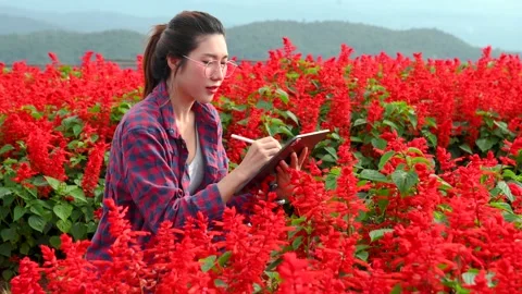 Asian Female farmer using digital tablet in flowerr field. Stock Footage 202305638